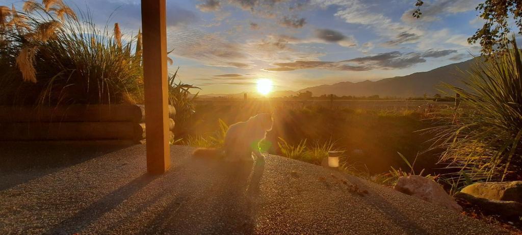 Brook House B&B & Cottages - Resim 1