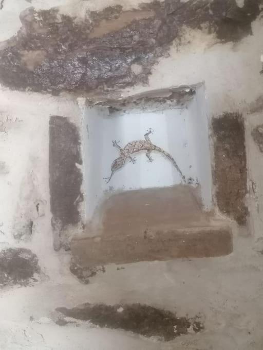 Fotografie z fotogalerie ubytování La lammia di Pisticci v destinaci Pisticci