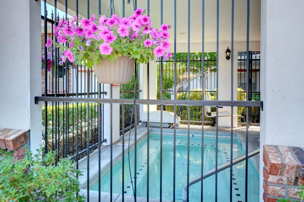 a balcony with a pot of pink flowers on a fence at Best Western Horizon Inn in Medford