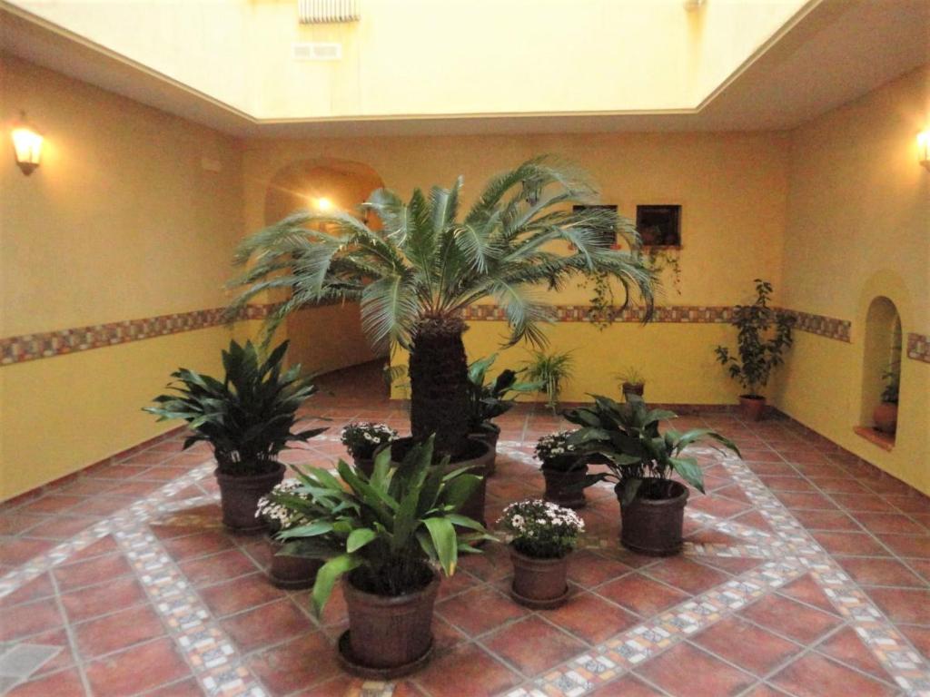 Fotografia z galérie ubytovania El Rinconcillo - centro histórico de Toledo v destinácii Toledo