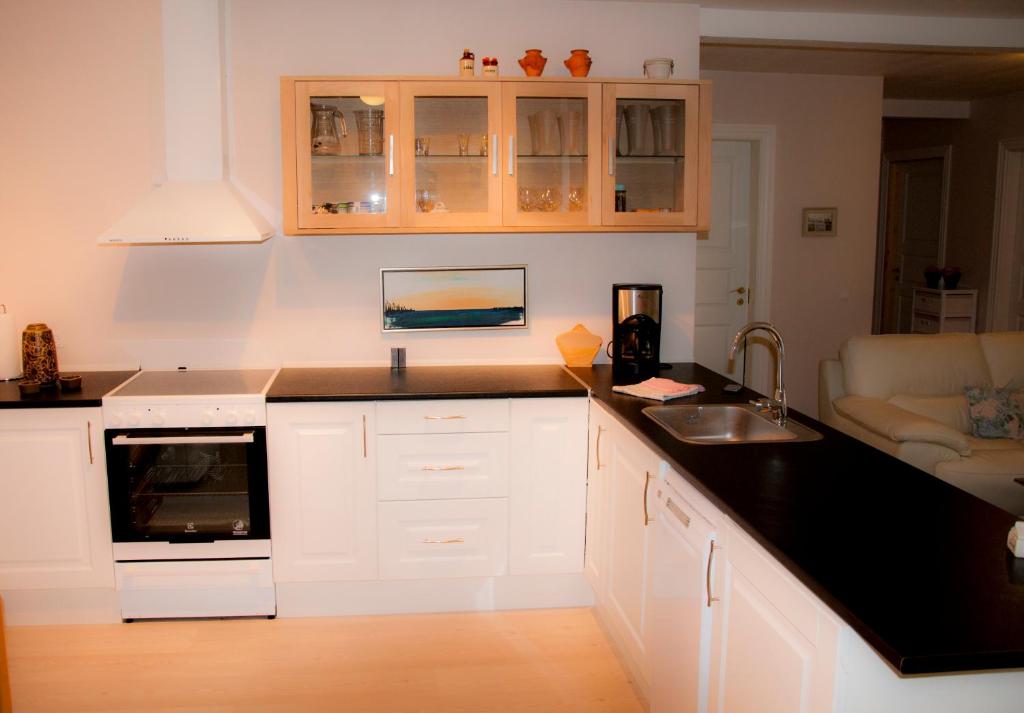 Kuchyň nebo kuchyňský kout v ubytování Skelstrupgaard Apartments