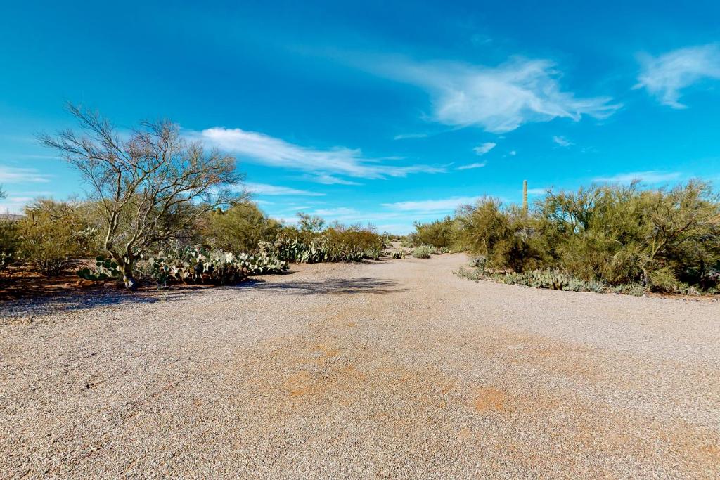 an empty road in the desert with trees and bushes at Lazy C Ranch in Tucson