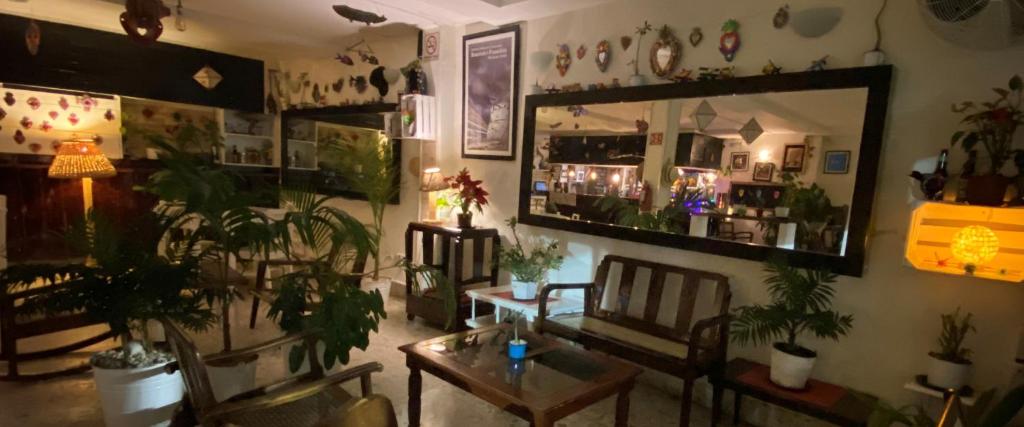 Fotografie z fotogalerie ubytování Hotel La Piazzetta v destinaci Mérida