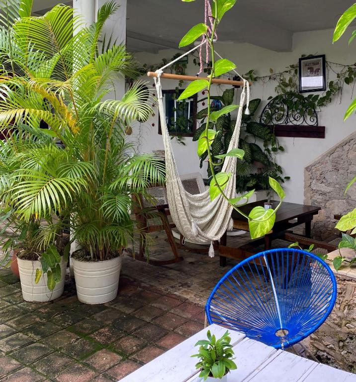 Zahrada ubytování Hotel La Piazzetta