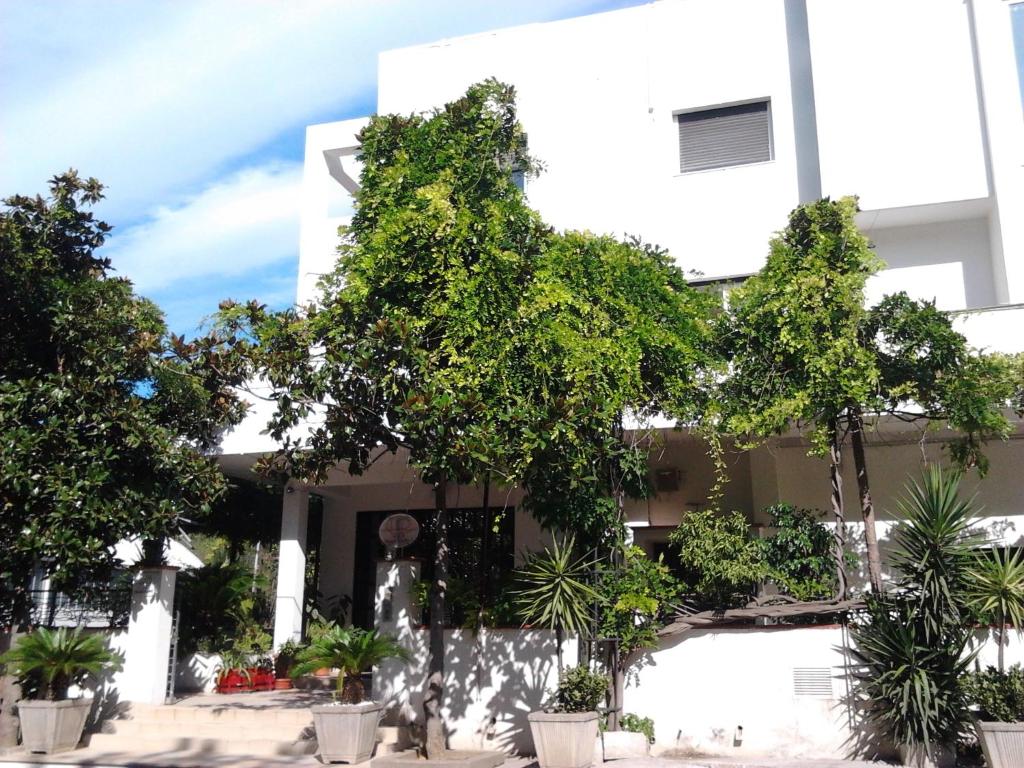 Hotel Calla'