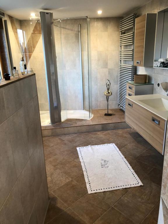 a bathroom with a shower and a sink at Albergo Diffuso Porrentruy in Porrentruy
