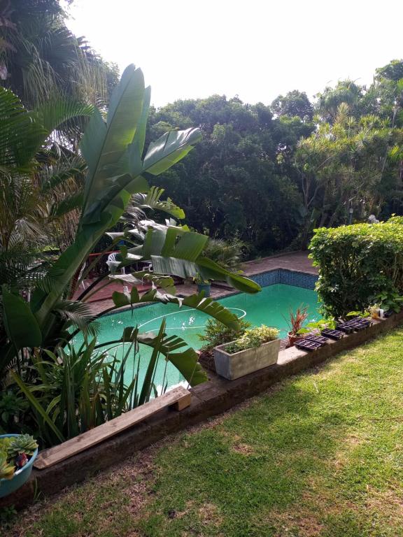 ein Swimmingpool im Hof eines Hauses in der Unterkunft Montrose Valley B&B in East London