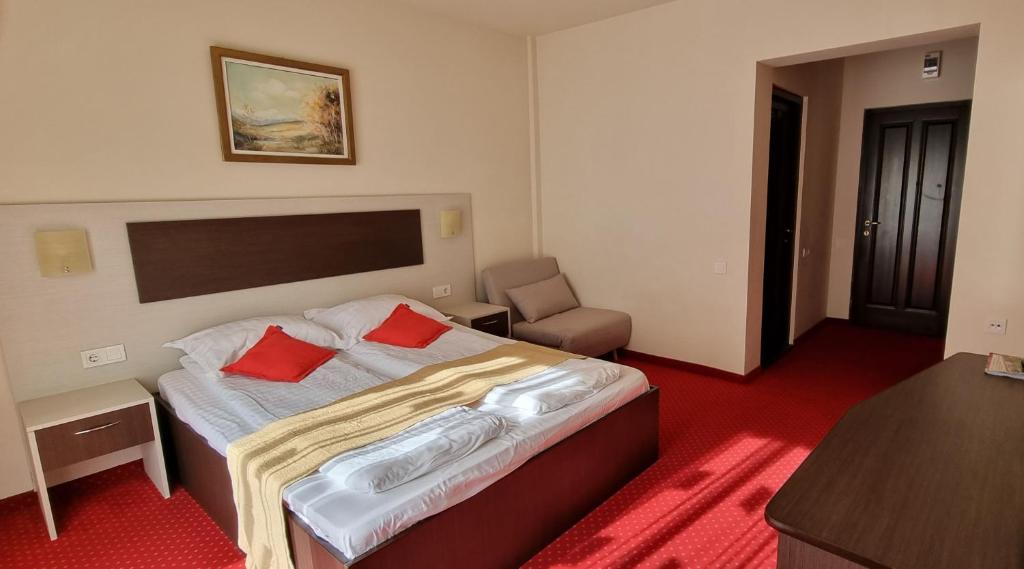 Postel nebo postele na pokoji v ubytování HOTEL CARPATHIA