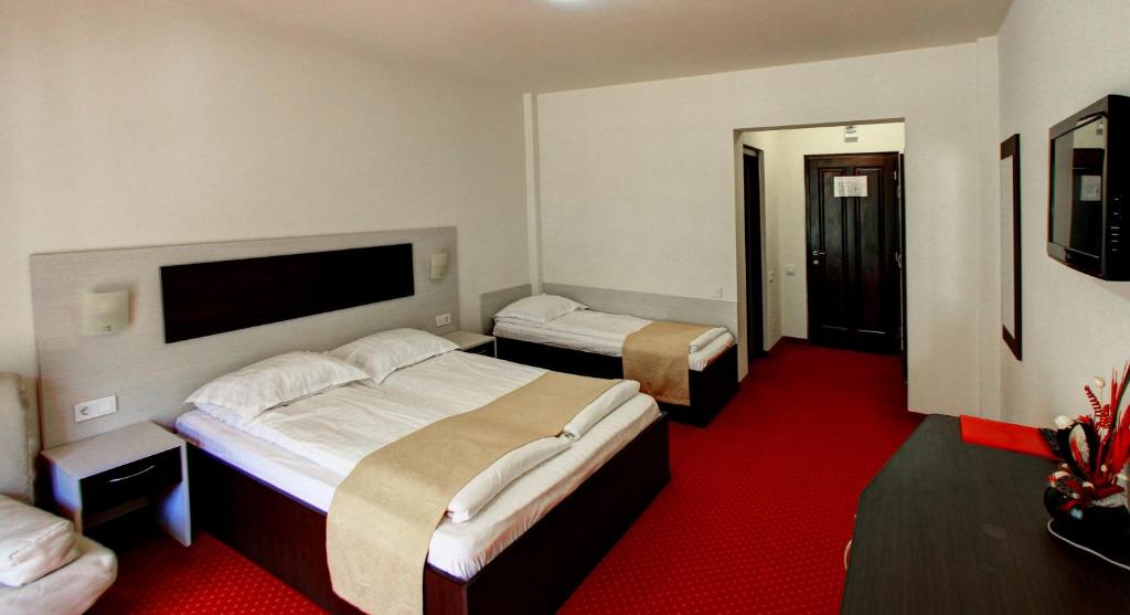 Postel nebo postele na pokoji v ubytování HOTEL CARPATHIA
