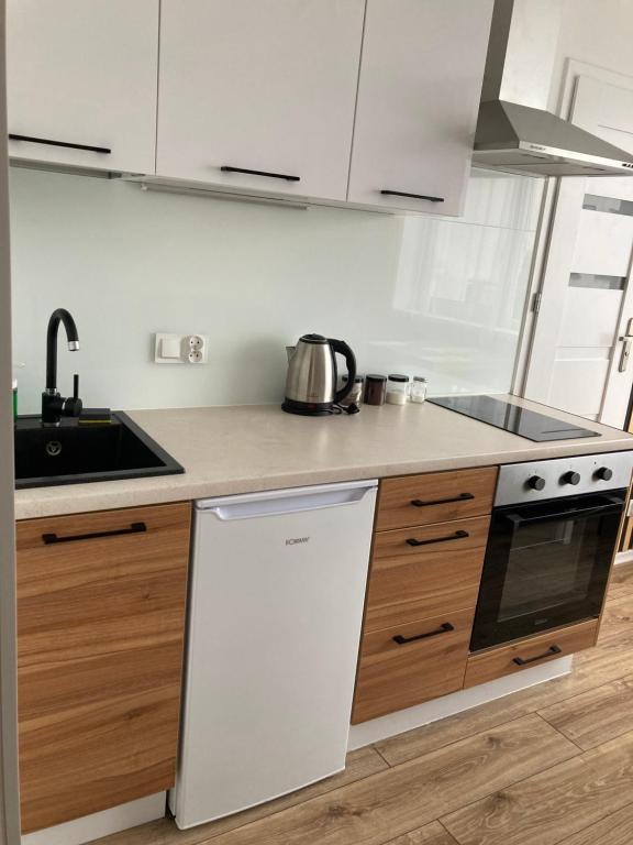 Kuchyň nebo kuchyňský kout v ubytování Apartamenty W Domu