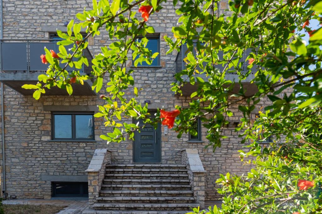 Kalpaki stone apartment 1 - Apartamento Deluxe