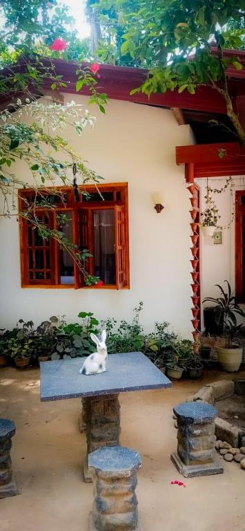 Fotografie z fotogalerie ubytování Ella Jungle Inn Homestay And Tree House v destinaci Ella