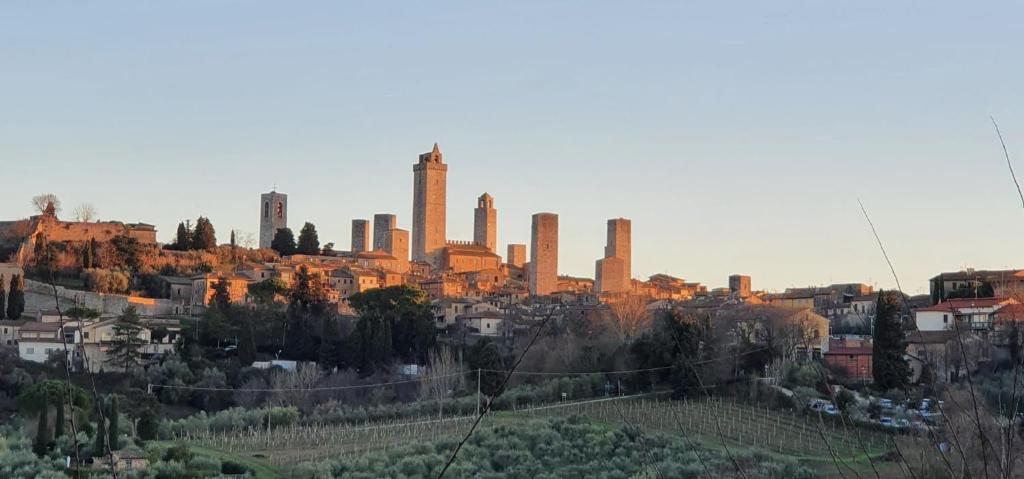 a view of a city with tall buildings on a hill at Home sweet home in San Gimignano