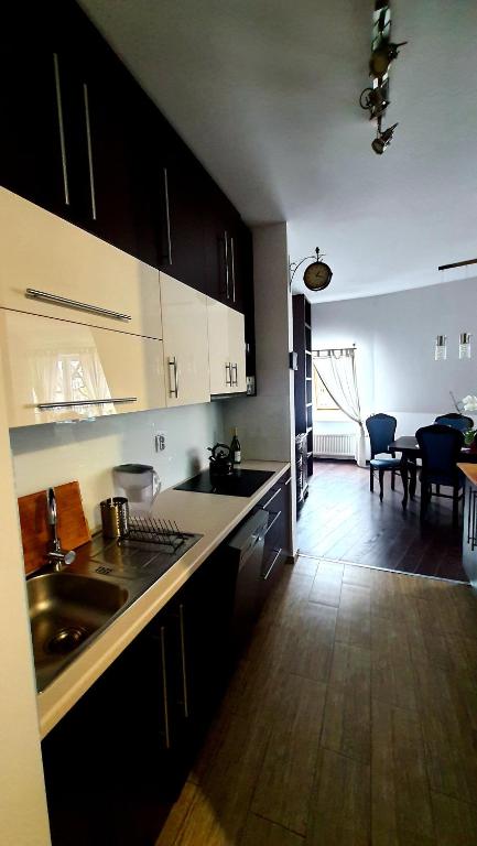 Kuchyň nebo kuchyňský kout v ubytování APARTAMENT 202