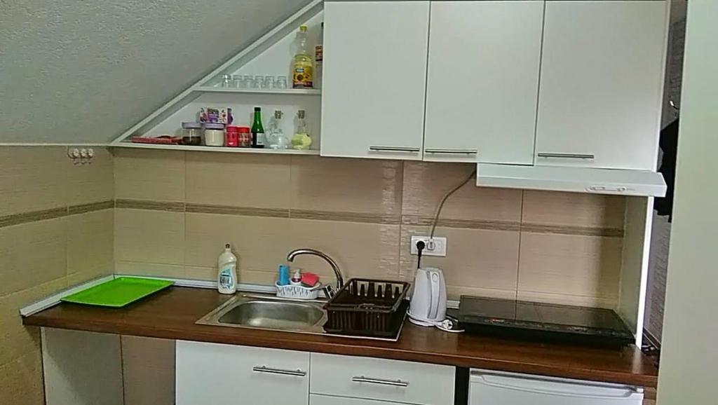 Kuchyň nebo kuchyňský kout v ubytování Apartmani Zapis Vrdnik