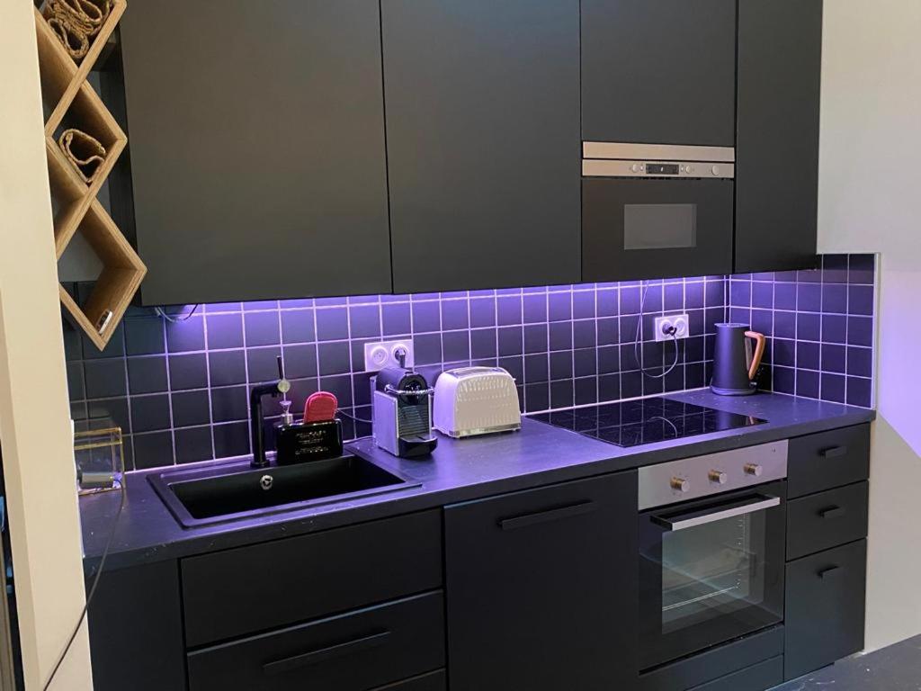 a kitchen with a purple tiled counter top with a sink at Bordeaux Chéri in Bordeaux