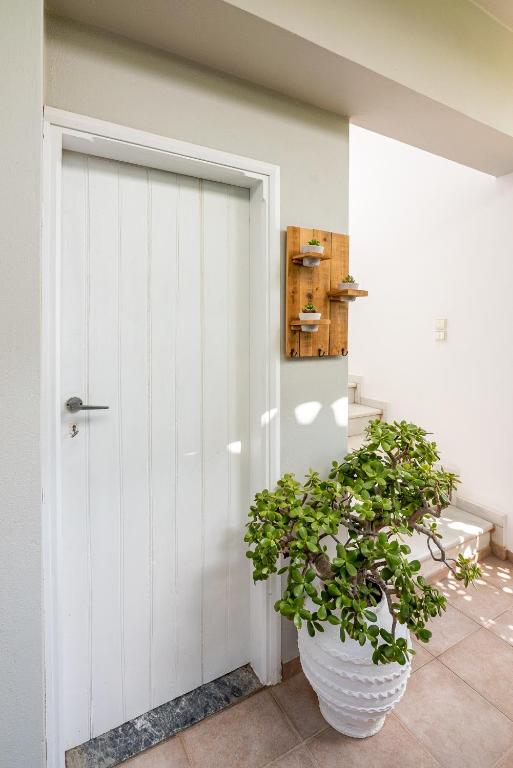 Kép Sea Daffodil apartments szállásáról Kíszamoszban a galériában
