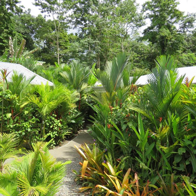 Zahrada ubytování Alloro Jungle Villas