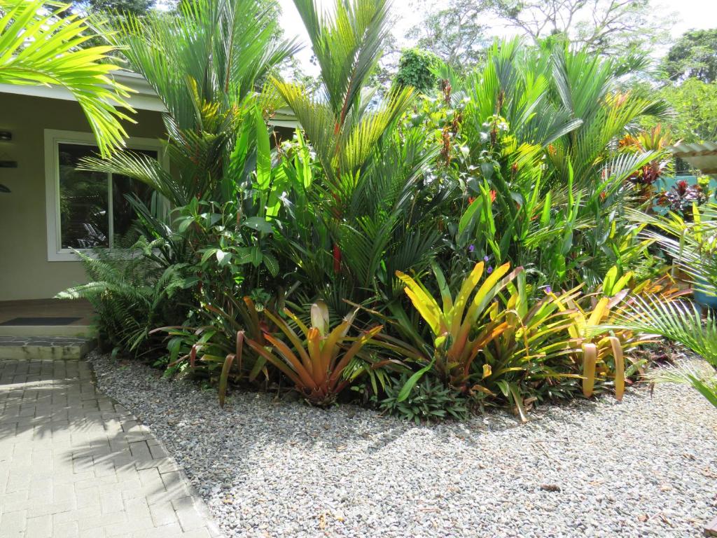 Zahrada ubytování Alloro Jungle Villas