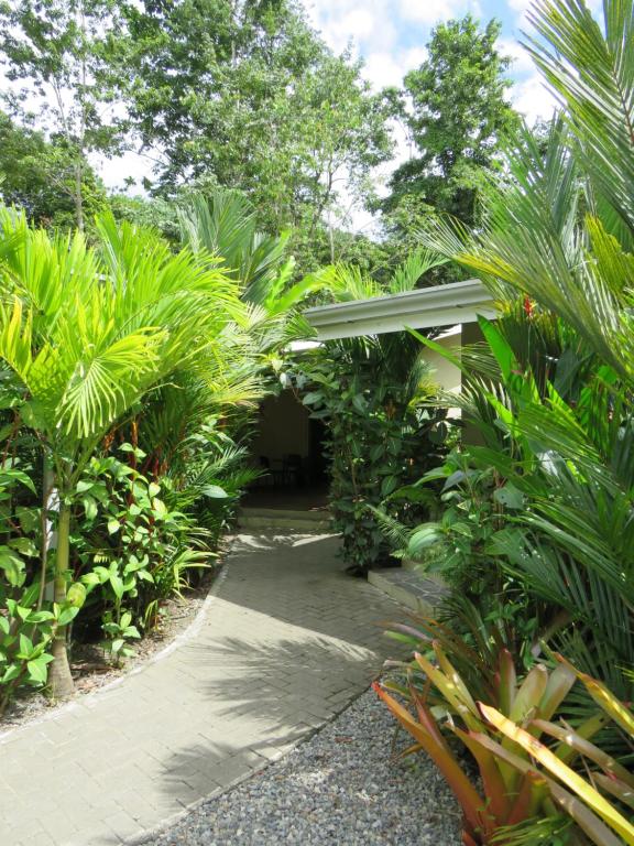 Zahrada ubytování Alloro Jungle Villas