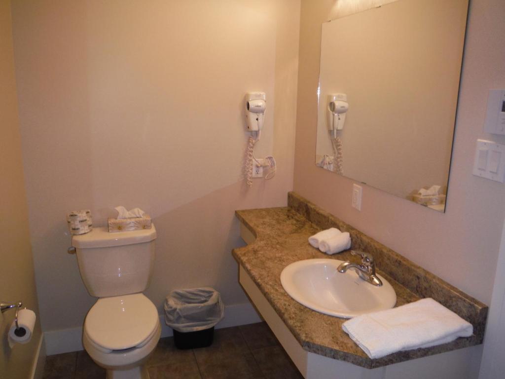 Koupelna v ubytování Motel Beausejour