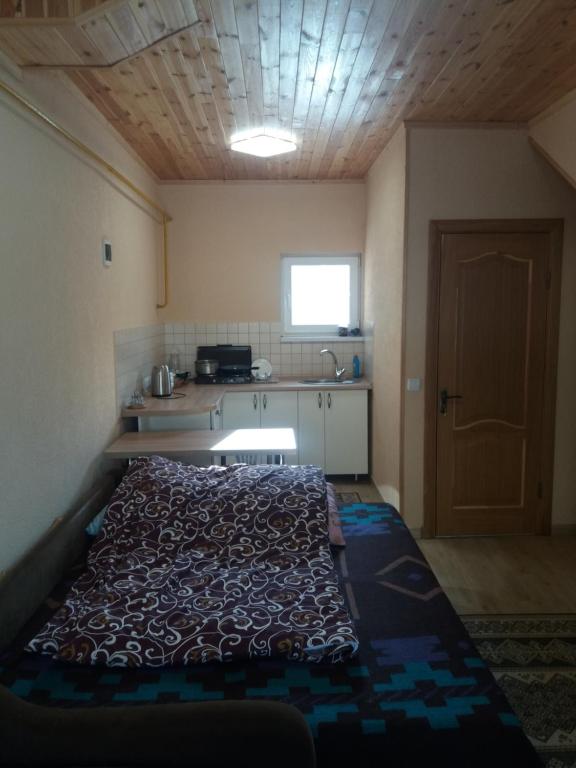 Kuchyň nebo kuchyňský kout v ubytování Садиба У Васі