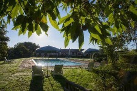 uma piscina com cadeiras e guarda-sóis num quintal em Agriturismo Poggio ai Legni em Sovicille