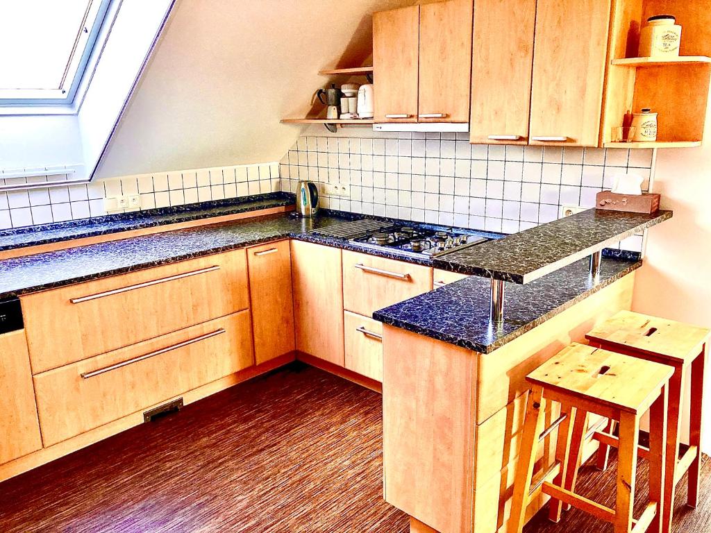 Kuchyň nebo kuchyňský kout v ubytování Apartmány Vojta