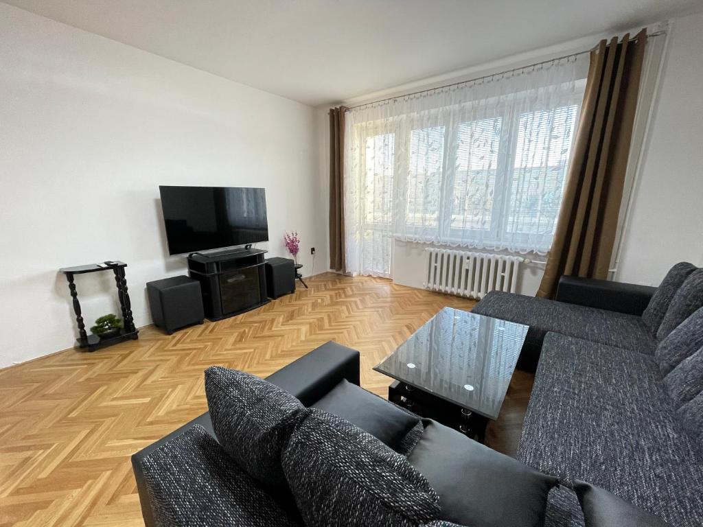 TV a/nebo společenská místnost v ubytování Apartman JnJ Velkomoravska