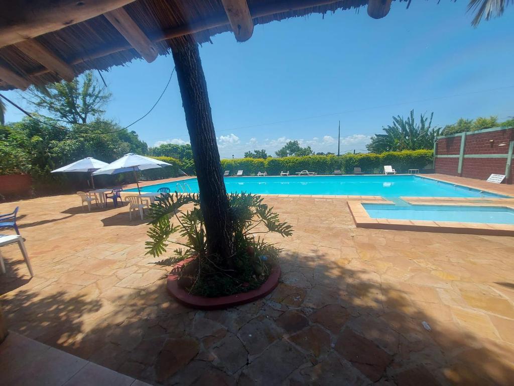 Bazén v ubytování Palmas Park Hotel y Restaurant nebo v jeho okolí