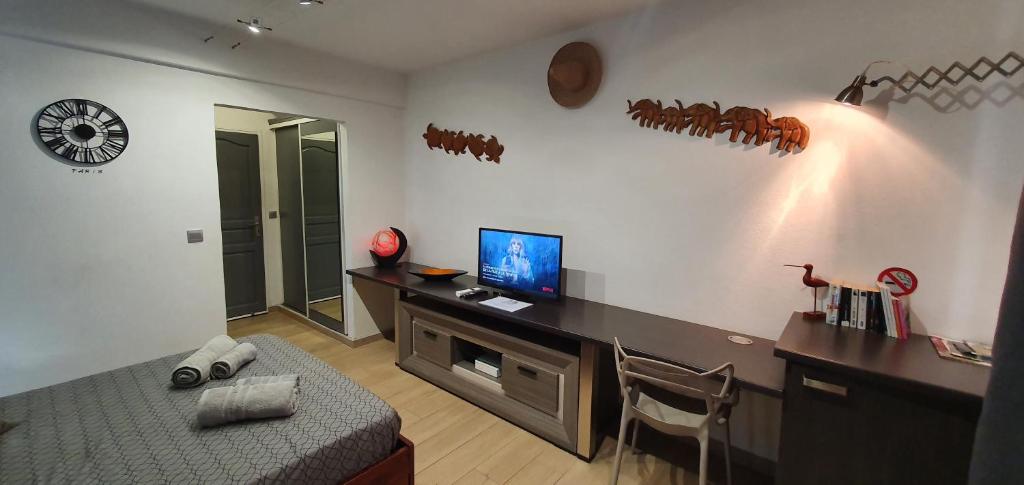TV a/nebo společenská místnost v ubytování L'Hibiscus piscine et plage