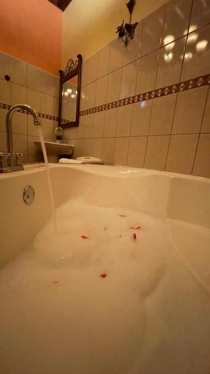 Hotel Vista San Francisco - 