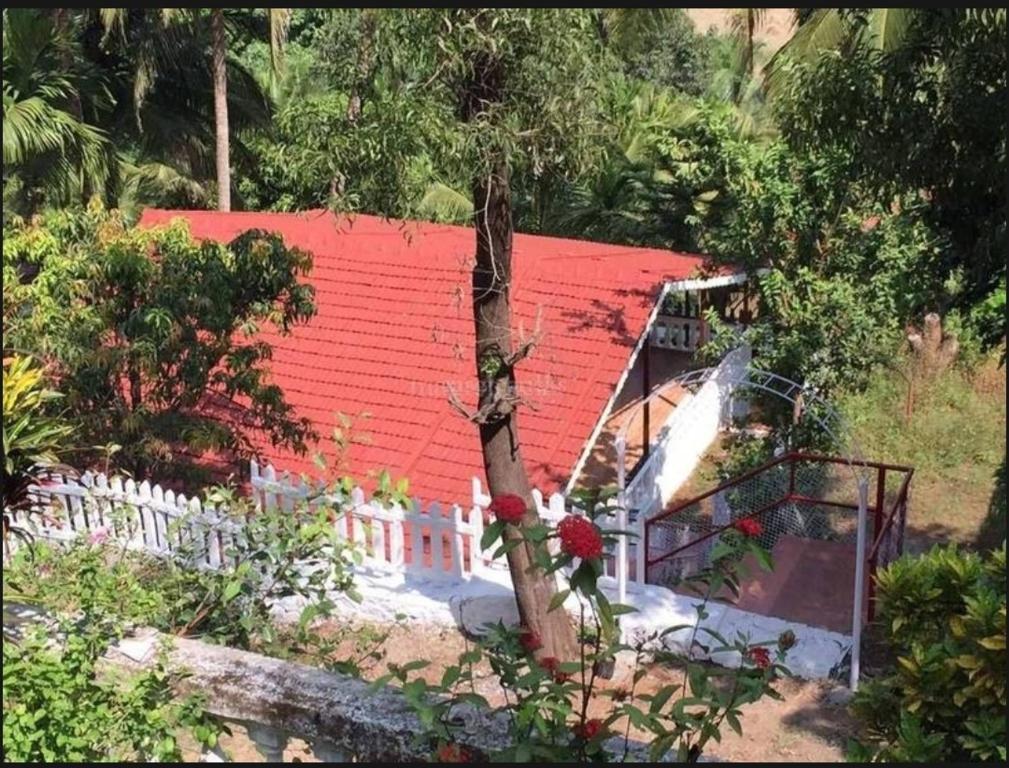 Alibag Russel\ - отзывы и видео