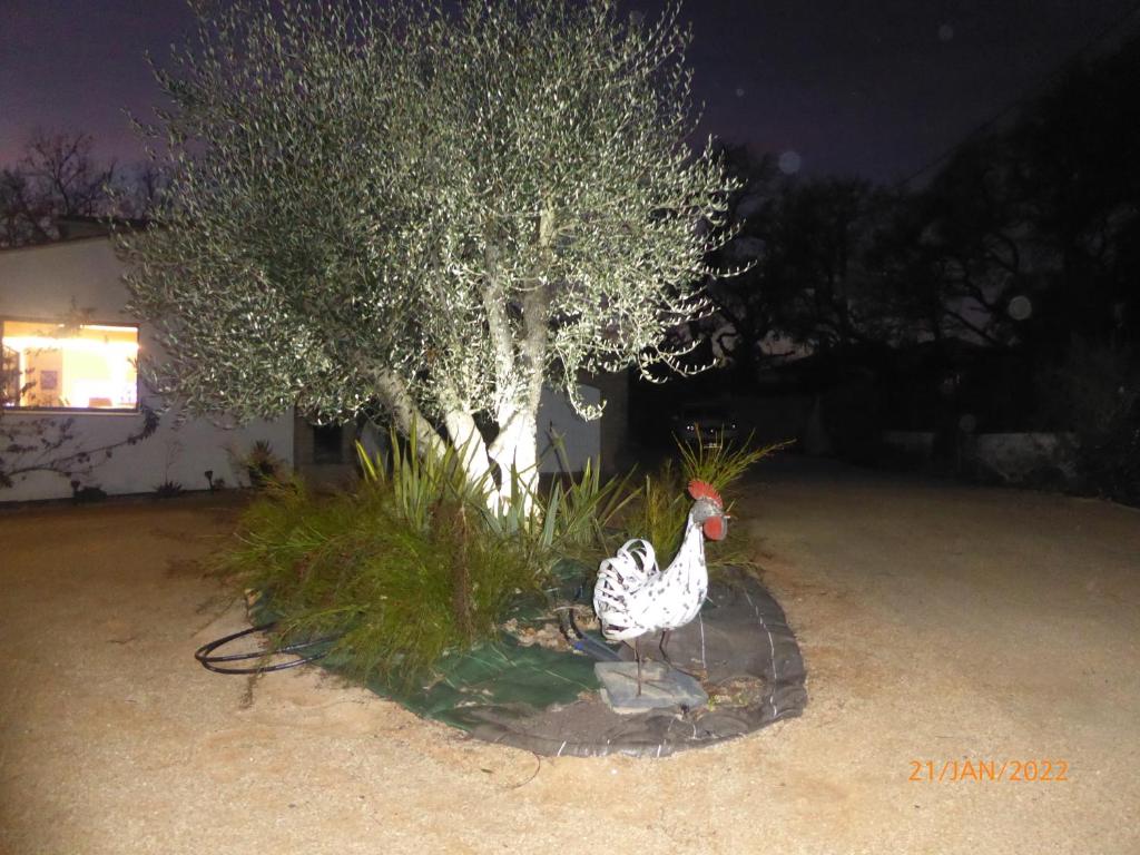 Derechos de imagen reservados por Booking.com