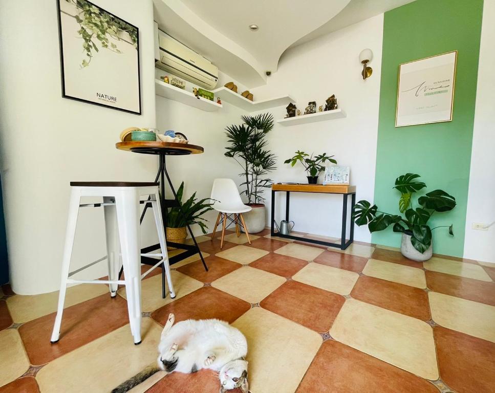 a white dog laying on the floor in a room at Canaan B&amp;B Kenting in Eluan