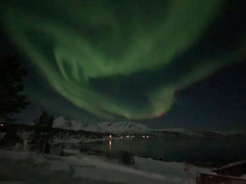 una imagen de una aurora verde en el cielo en Finnvikhaugen Rooms en Meistervik