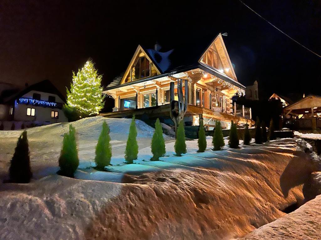 a house with a christmas tree in the snow at Domek Nad Doliną in Orawka