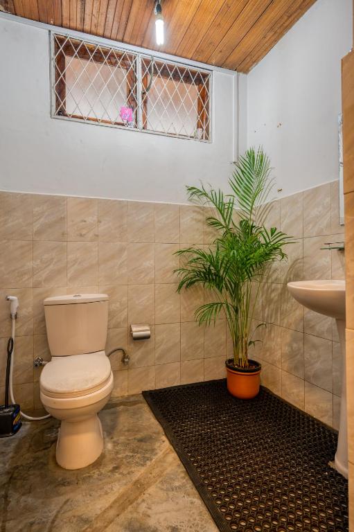 Drop Inn Hostels - 17