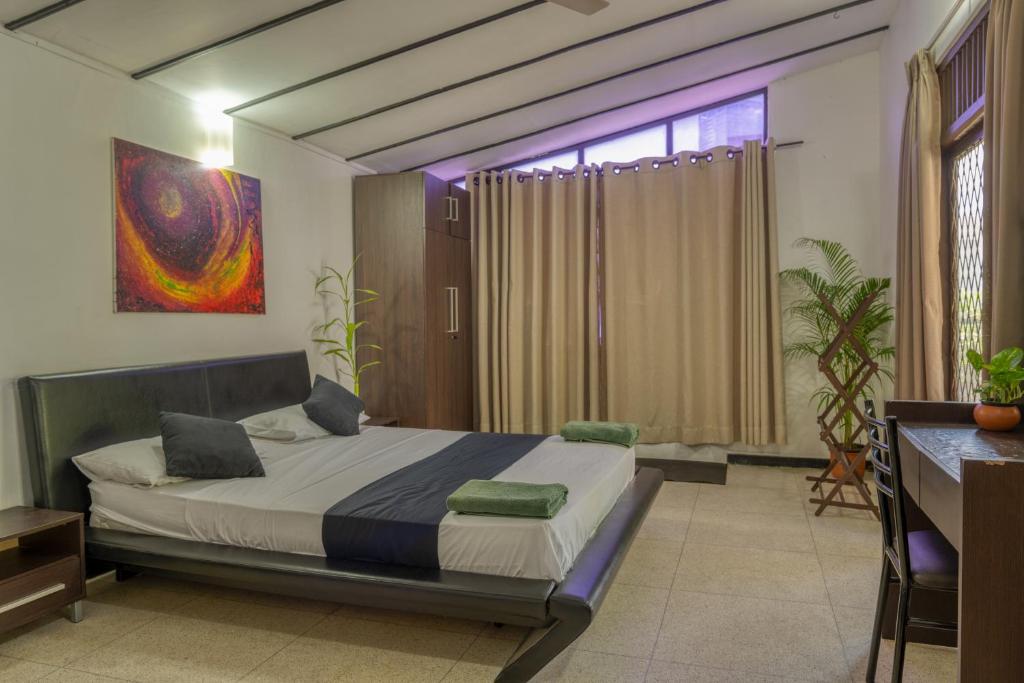 Drop Inn Hostels - 19