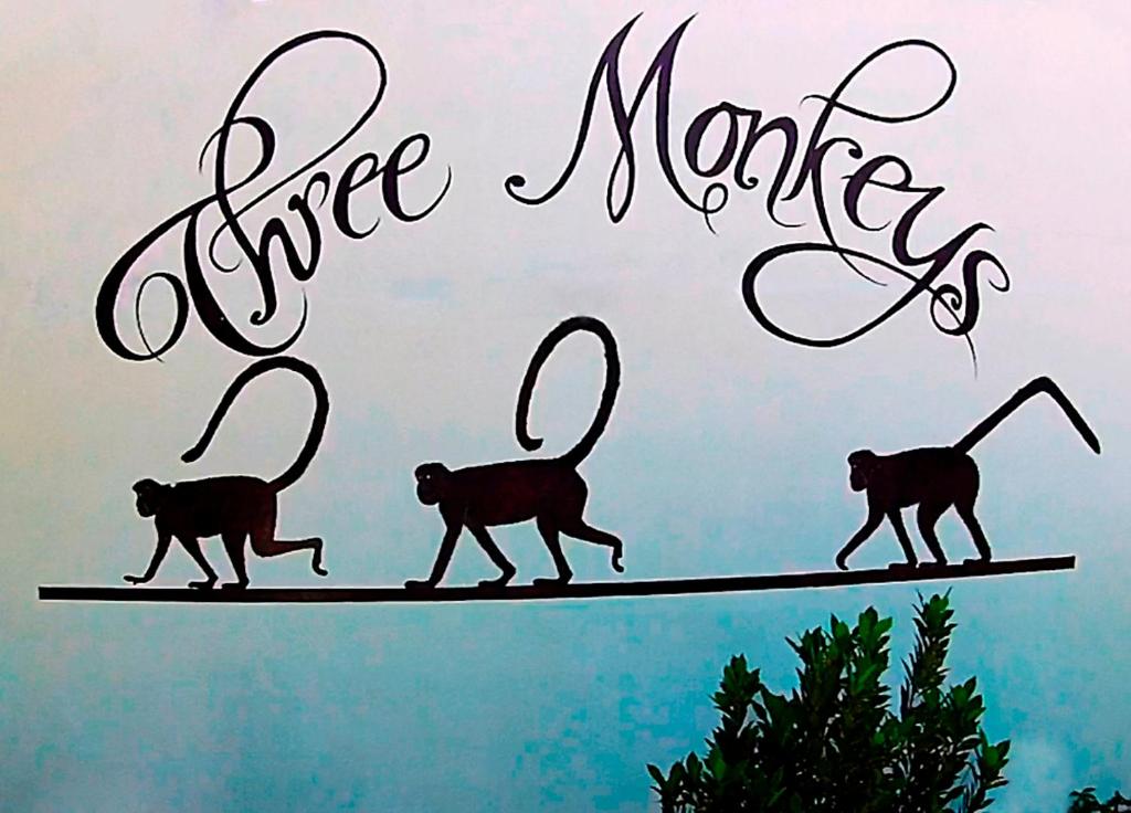 Fotografie z fotogalerie ubytování Hotel Three Monkeys v destinaci Montezuma