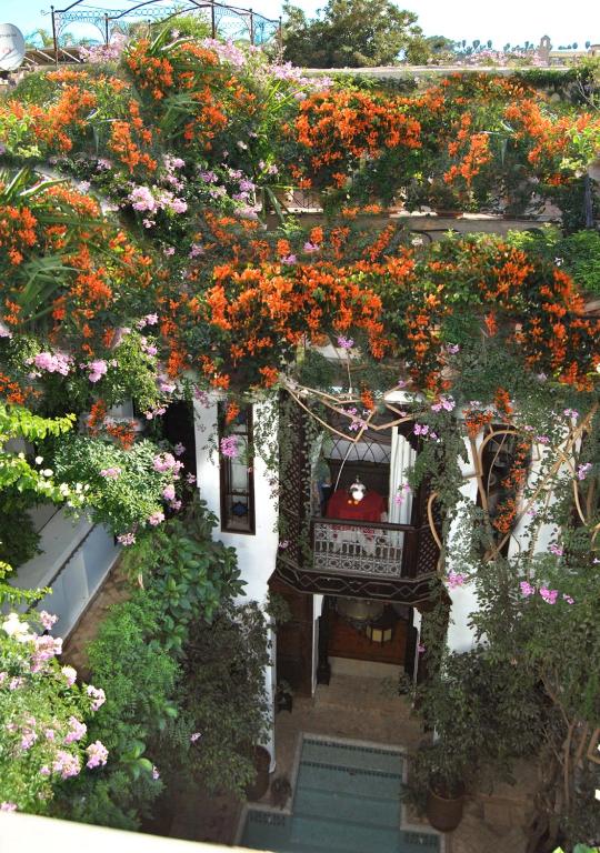 Um jardim no exterior de Riad Lyla