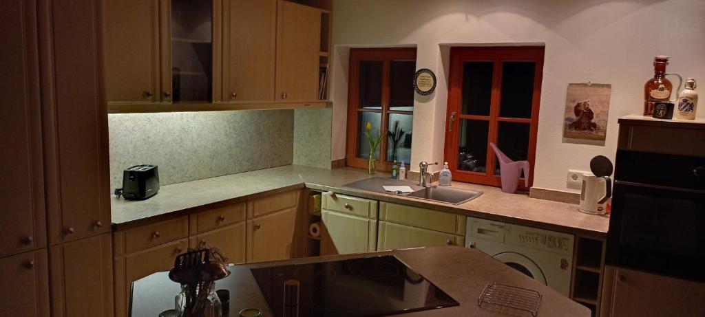 Kuchyň nebo kuchyňský kout v ubytování Winzerhaus Rissweg 15