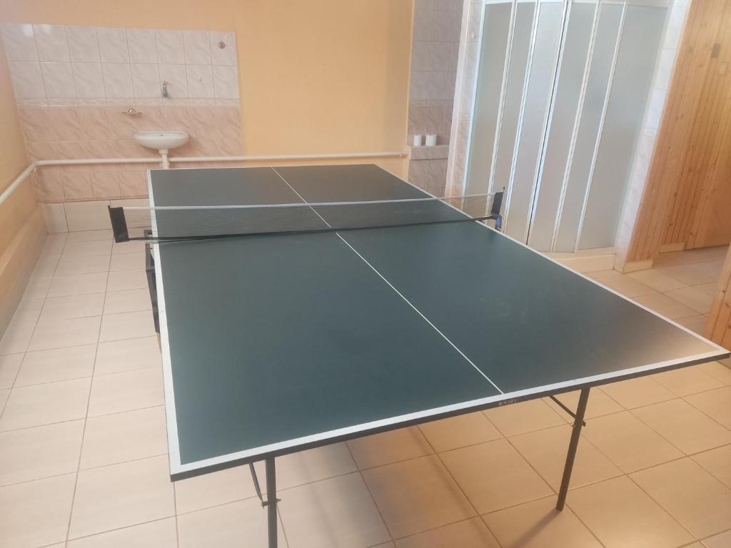 Stolní tenis v ubytování Apartmány Rejdovian nebo okolí
