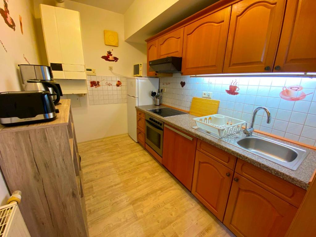 Kuchyň nebo kuchyňský kout v ubytování Ferienwohnung Greiz
