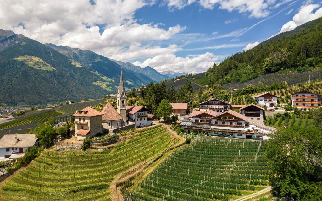 a village in the mountains with a church and vineyards at Hotel Moserhof in Schenna