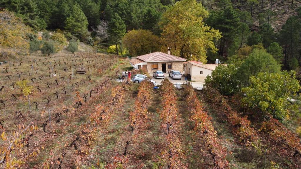 La Limonera - Casa De Una Habitación