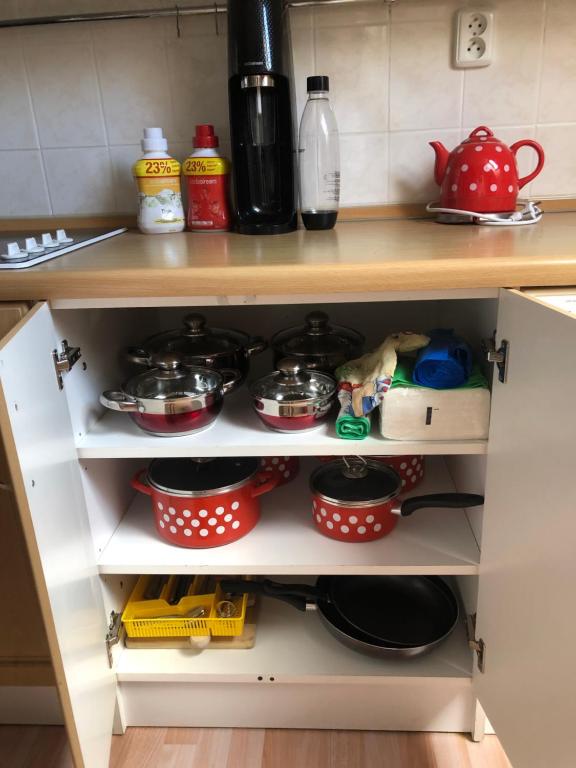 Kuchyň nebo kuchyňský kout v ubytování Apartmán u Míši