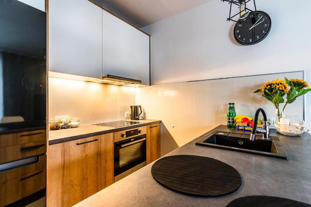 Kuchyňa alebo kuchynka v ubytovaní Pure Home Apartments - Gwiaździsta