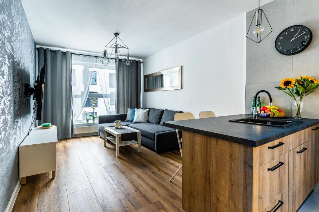 Televízia a/alebo spoločenská miestnosť v ubytovaní Pure Home Apartments - Gwiaździsta