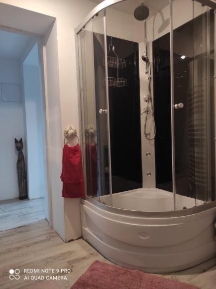 prysznic ze szklaną obudową w łazience w obiekcie Apartament u Bena w mieście Kacwin